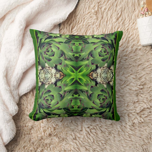 Hens And Chicks Garden Succulent Close Up Abstract Cushion (Blanket)