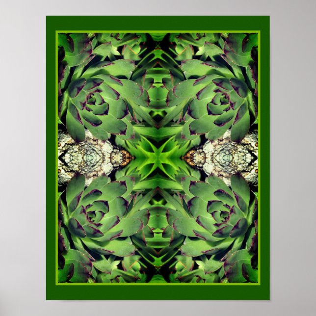 Hens And Chicks Garden Succulent Mirror Abstract Poster (Front)
