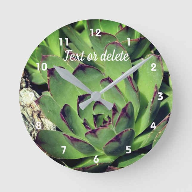 Hens And Chicks Garden Succulents Personalised Round Clock (Front)