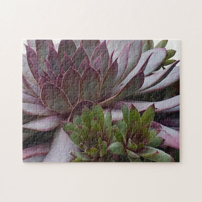 Hens And Chicks Jigsaw Puzzle (Horizontal)