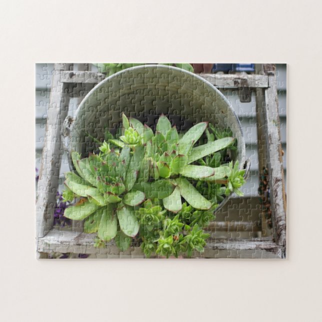 Hens And Chicks Succulents In A Bucket Nature  Jigsaw Puzzle (Horizontal)