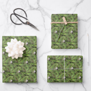 Hens And Chicks Succulents Nature Pattern  Wrapping Paper Sheet