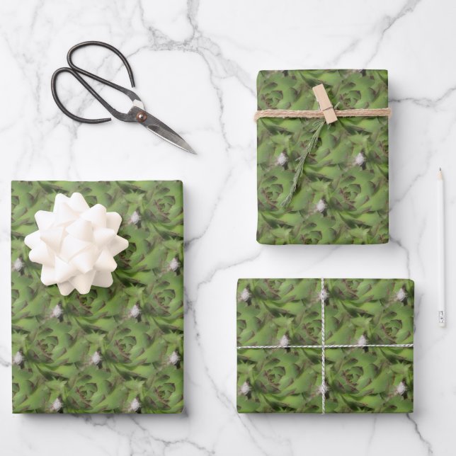 Hens And Chicks Succulents Nature Pattern  Wrapping Paper Sheet (Front)