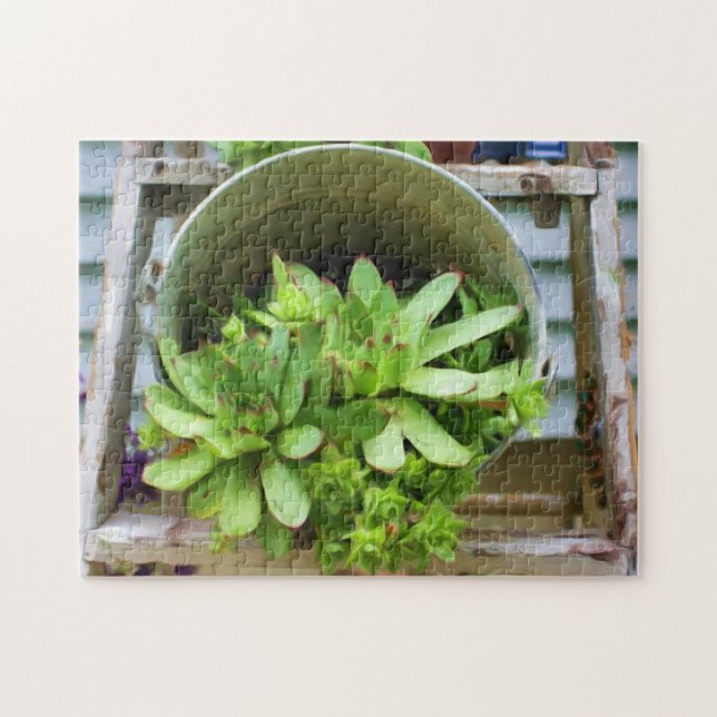 Hens And Chicks Succulents Photo Oil Painting Jigsaw Puzzle (Horizontal)