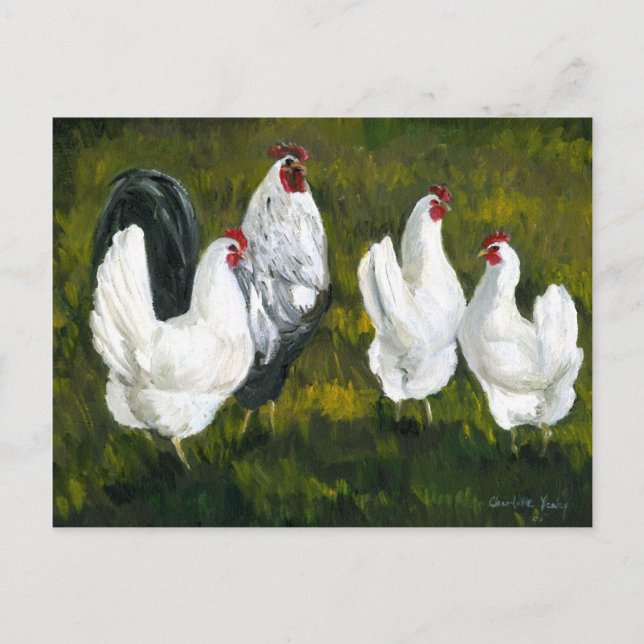 "Hens & Rooster" Art Reproduction Postcard (Front)