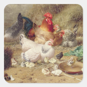 Hens roosting with their chickens square sticker