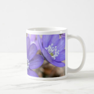 Hepatica Nobil Coffee Mug