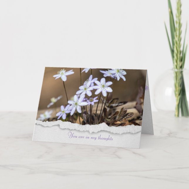 hepatica wildflower thinking of you card (Front)