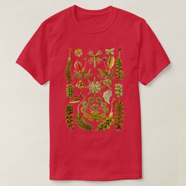 Hepaticae Ernst Haeckel T-Shirt (Design Front)