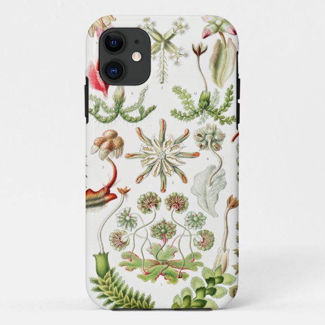 Hepaticae Lebermoose by Ernst Haeckel Case-Mate iPhone Case (Back)