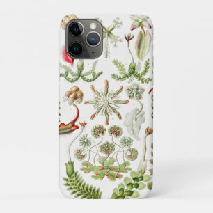 Hepaticae Lebermoose by Ernst Haeckel iPhone 11 Pro Case