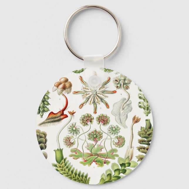 Hepaticae Lebermoose by Ernst Haeckel Key Ring (Front)