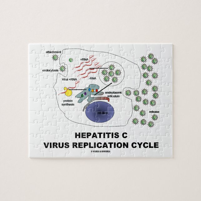Hepatitis C Viral Replication Cycle Jigsaw Puzzle (Horizontal)