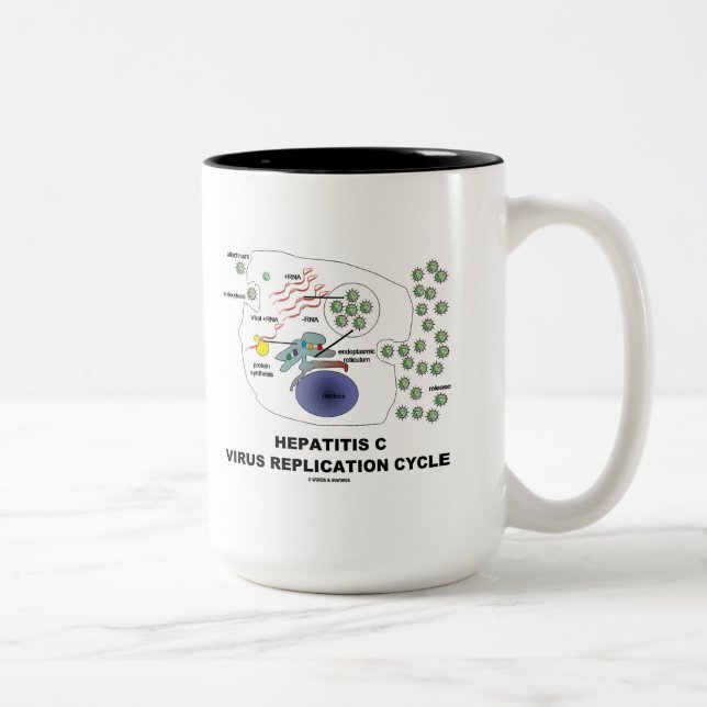 Hepatitis C Viral Replication Cycle Two-Tone Coffee Mug (Right)