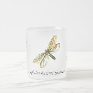 Hepialus humuli female - Ghost Moth or Ghost Swift Frosted Glass Coffee Mug