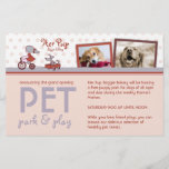 Her Pup 5.5"x8.5" Flyers<br><div class="desc">Share lots of information about your doggy bakery, pet shoppe, or animal daycare with "Her Pup" flyers from Cheeky Paperie. Include two photos on the front, an eye-catching announcement, and supporting information. The back is set up to include a discount/coupon and three product/service photos, along with information about each. Contact...</div>