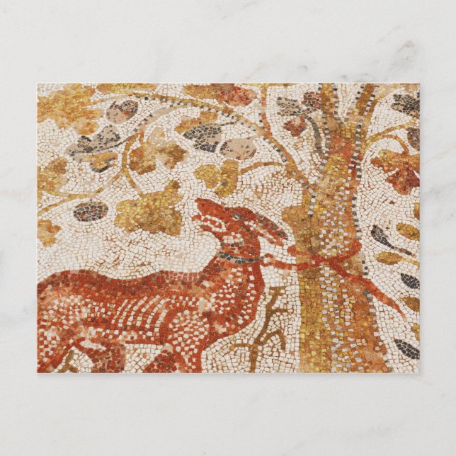 Heraclea Dog Mosaic Postcard (Front)