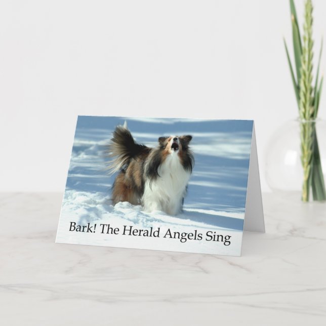 Herald Sheltie Holiday Card (Front)