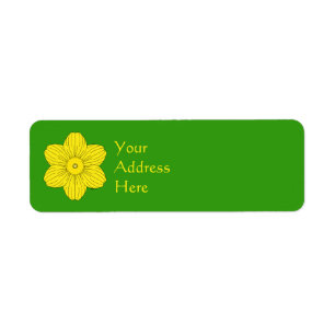Heraldic Daffodil
