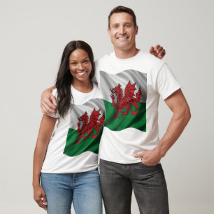 Heraldic Red Dragon Wales Design T-Shirt