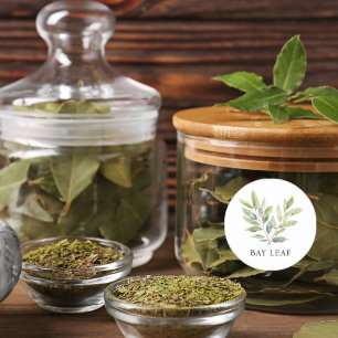 Herb Bay Leaf Watercolor Classic Round Sticker