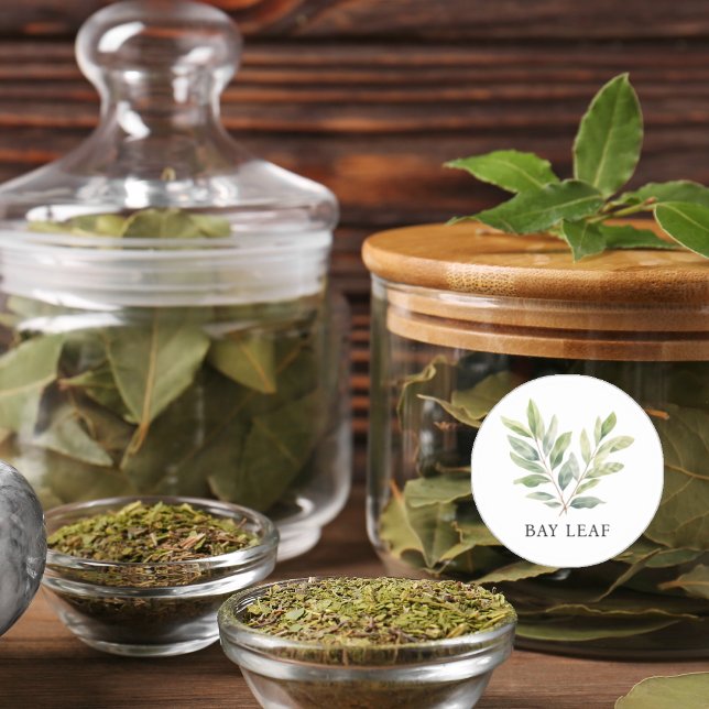 Herb Bay Leaf Watercolor Classic Round Sticker (Herb Bay Leaf Watercolor Classic Round Sticker)