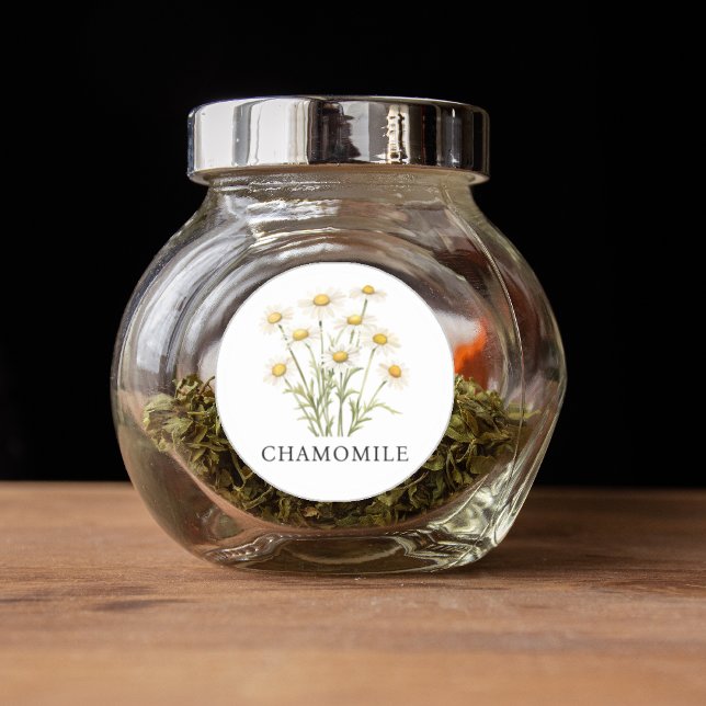 Herb Chamomile Watercolor  Classic Round Sticker (Herb Chamomile Watercolor Classic Round Sticker)