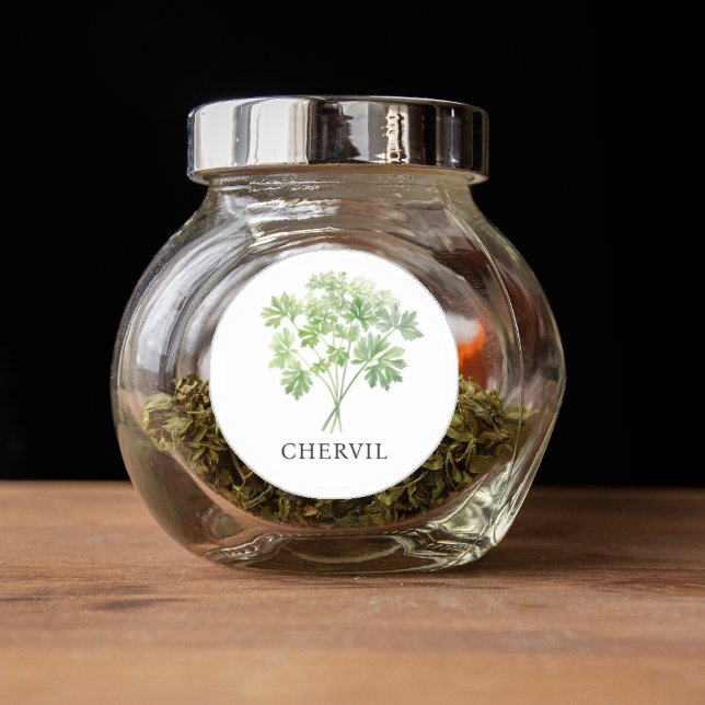 Herb Chervil Watercolor  Classic Round Sticker (Herb Chervil Watercolor Classic Round Sticker)