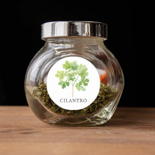 Herb Cilantro Watercolor  Classic Round Sticker