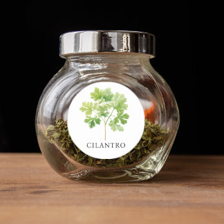 Herb Cilantro Watercolor  Classic Round Sticker