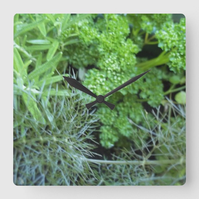 Herb clock (Front)