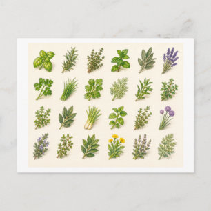 Herb Collage Postcard