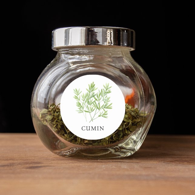 Herb Cumin Watercolor  Classic Round Sticker (Herb Cumin Watercolor Classic Round Sticker)