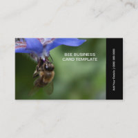 Herb Flowers Spring Photography Bee