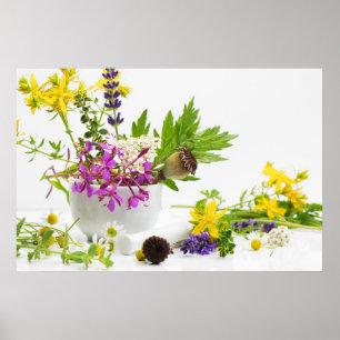 herb garden poster