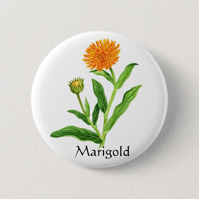 Herb Garden Series - Marigold 6 Cm Round Badge (Front)