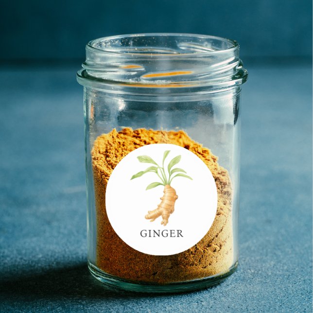 Herb Ginger Watercolor  Classic Round Sticker (Herb Ginger Watercolor Classic Round Sticker)