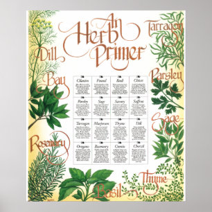 Herb Primer poster print