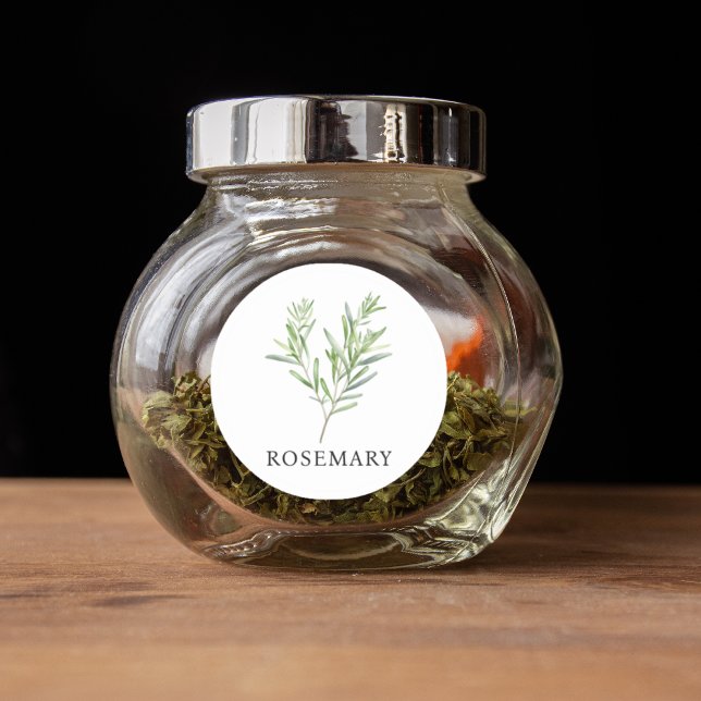 Herb Rosemary Watercolor  Classic Round Sticker (Herb Rosemary Watercolor Classic Round Sticker)