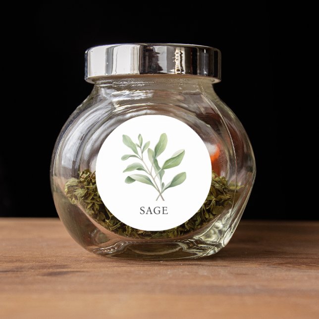 Herb Sage Watercolor  Classic Round Sticker (Herb Sage Watercolor Classic Round Sticker)