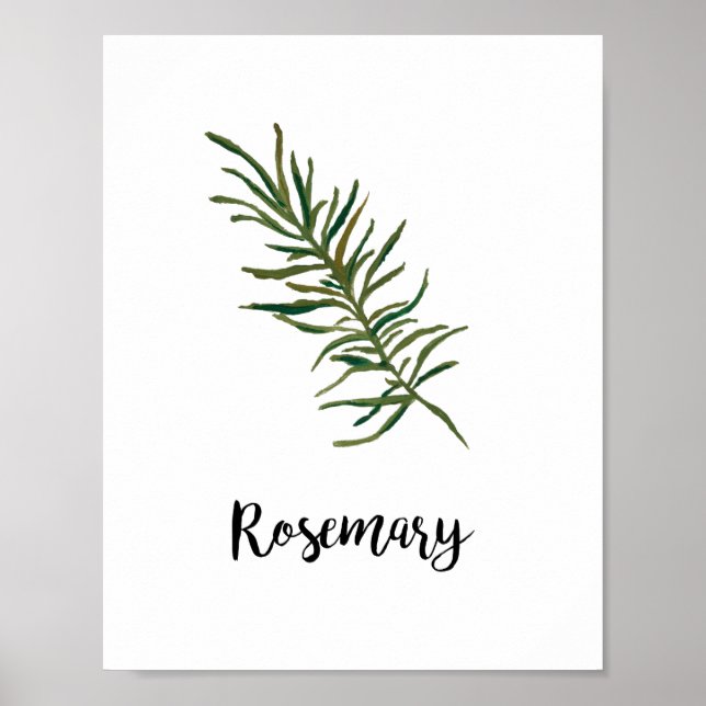 Herb Watercolor Painting Word Art Poster (Front)