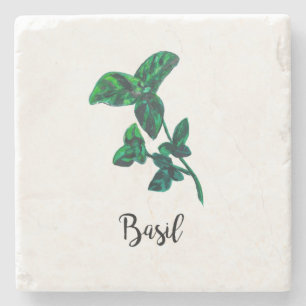 Herb Watercolor Painting Word Art Stone Coaster