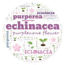 HERB WORD LABEL - HERBS/VEGETABLE  - PURPLECONE