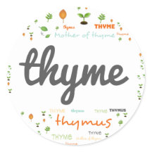 HERB WORD LABEL - HERBS/VEGETABLE  - THYME