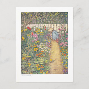 Herbaceous Border Vintage Garden Illustration Postcard