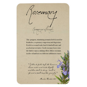Herbal Apothecary: Rosemary   Magnet