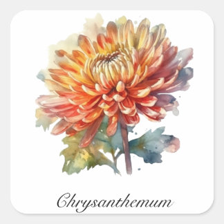 Herbal Life: Chrysanthemum customisable Square Sticker