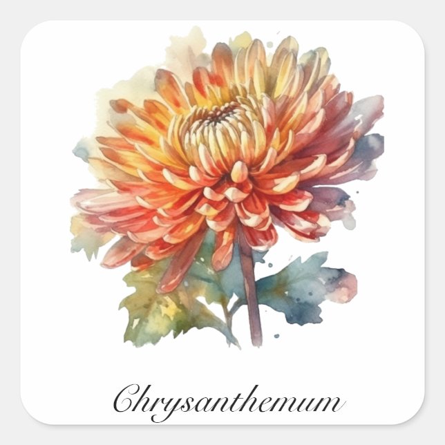 Herbal Life: Chrysanthemum customisable  Square Sticker (Front)