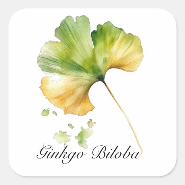 Herbal Life: Ginkgo Biloba leaf customisable Square Sticker (Front)