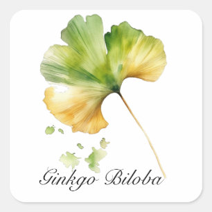 Herbal Life: Ginkgo Biloba leaf customisable Square Sticker